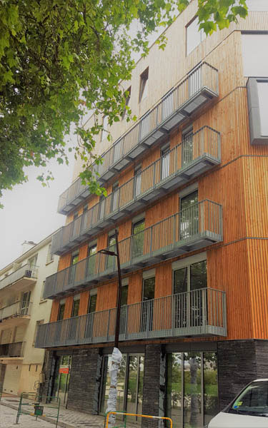 IMG (4)